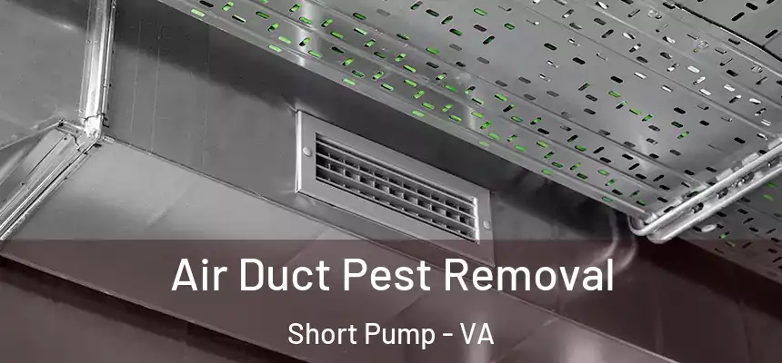 Air Duct Pest Removal Short Pump - VA