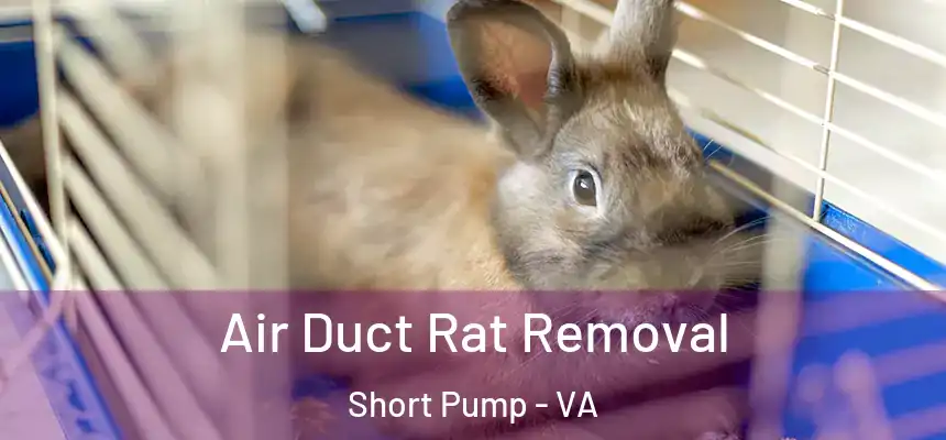  Air Duct Rat Removal Short Pump - VA
