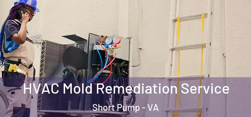  HVAC Mold Remediation Service Short Pump - VA