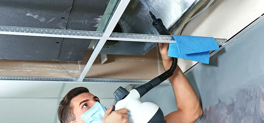 Our Air Duct Rodent Removal Services in Short Pump, VA