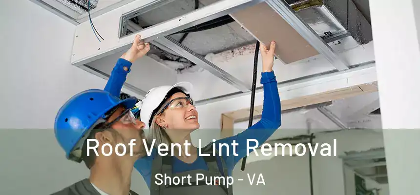  Roof Vent Lint Removal Short Pump - VA
