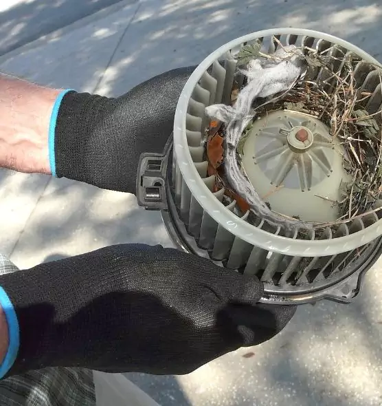 About Air Duct Rat Removal in Short Pump, VA