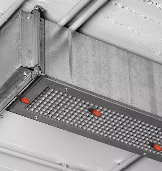 Affordable Insect Removal from Air Ducts in Short Pump, VA