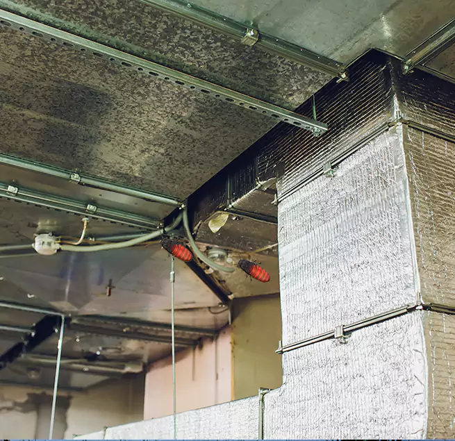 Why Homeowners & Businesses Trust Us in Short Pump, VA?