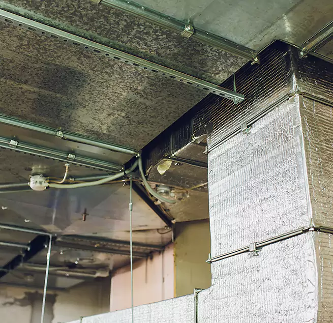 Why Homeowners & Businesses Trust Us in Short Pump, VA?